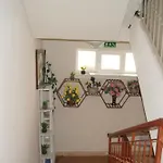 Apartment Hibe Dede *