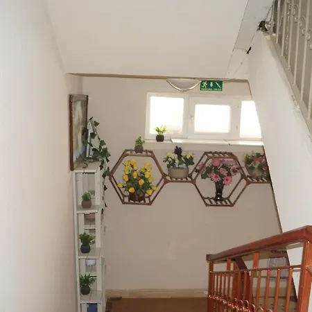 Apartment Hibe Dede *